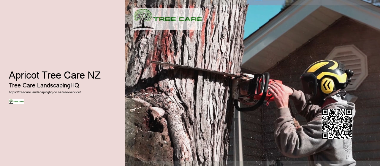 Hawkes Bay Tree Surgeons