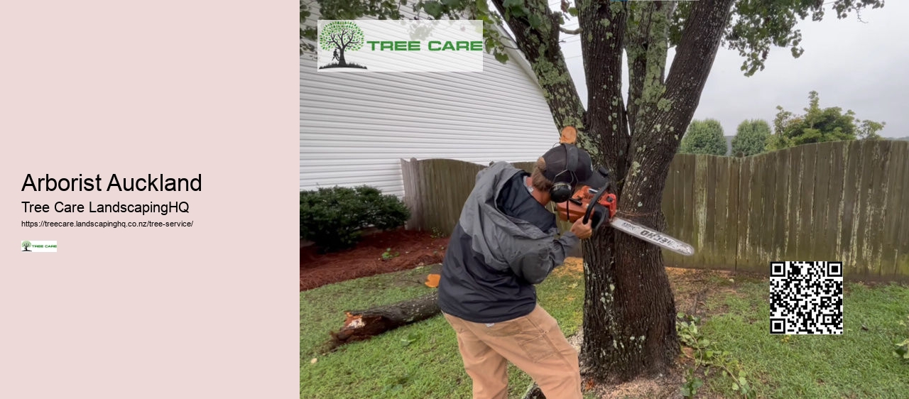 Arborist Costs NZ