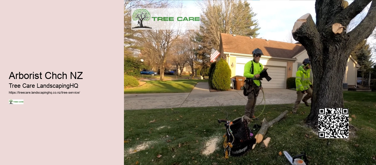 Tree Trimming Dunedin