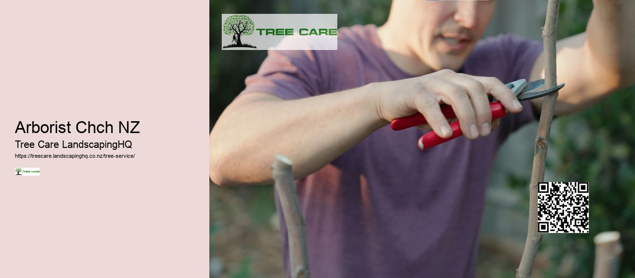 Best Time To Trim Trees NZ