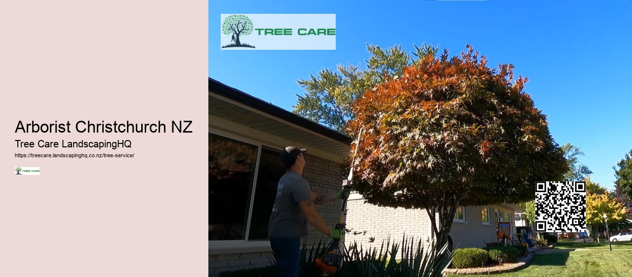 Tree Arborist Tauranga