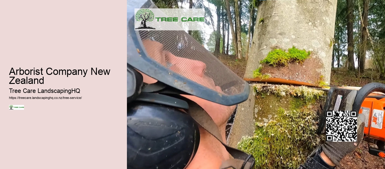 Arborists Nelson NZ