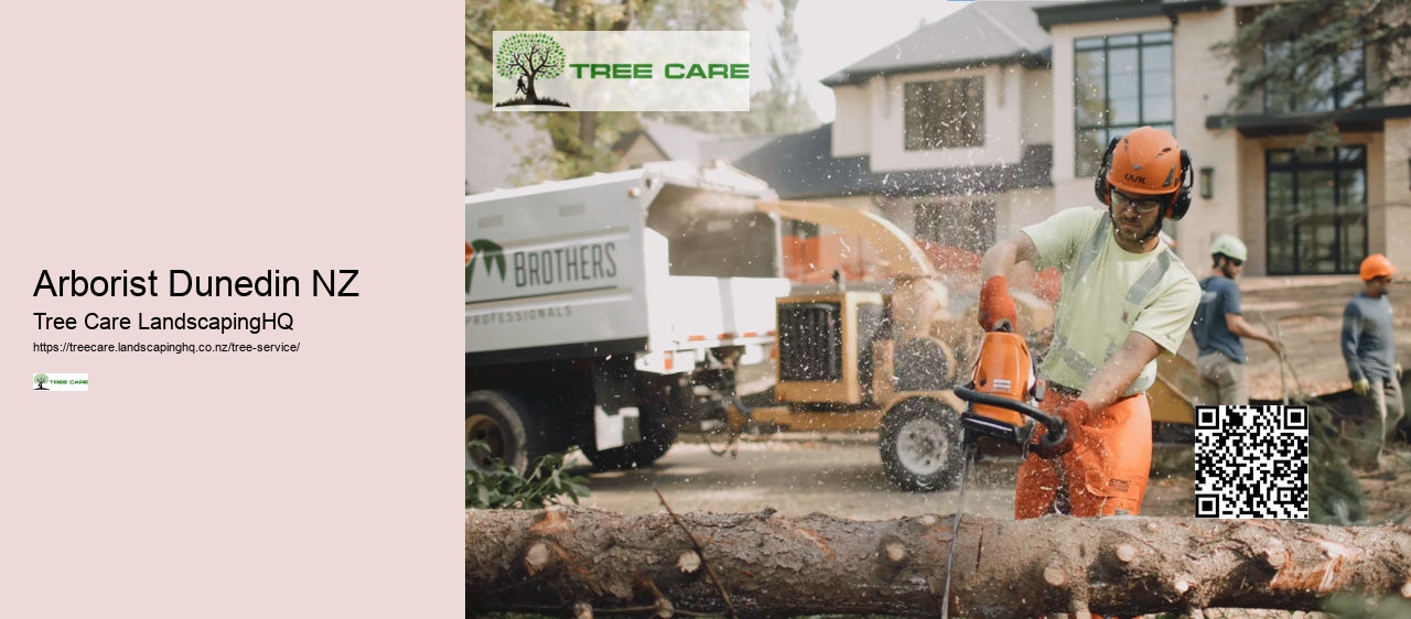 Arborist Hamilton NZ