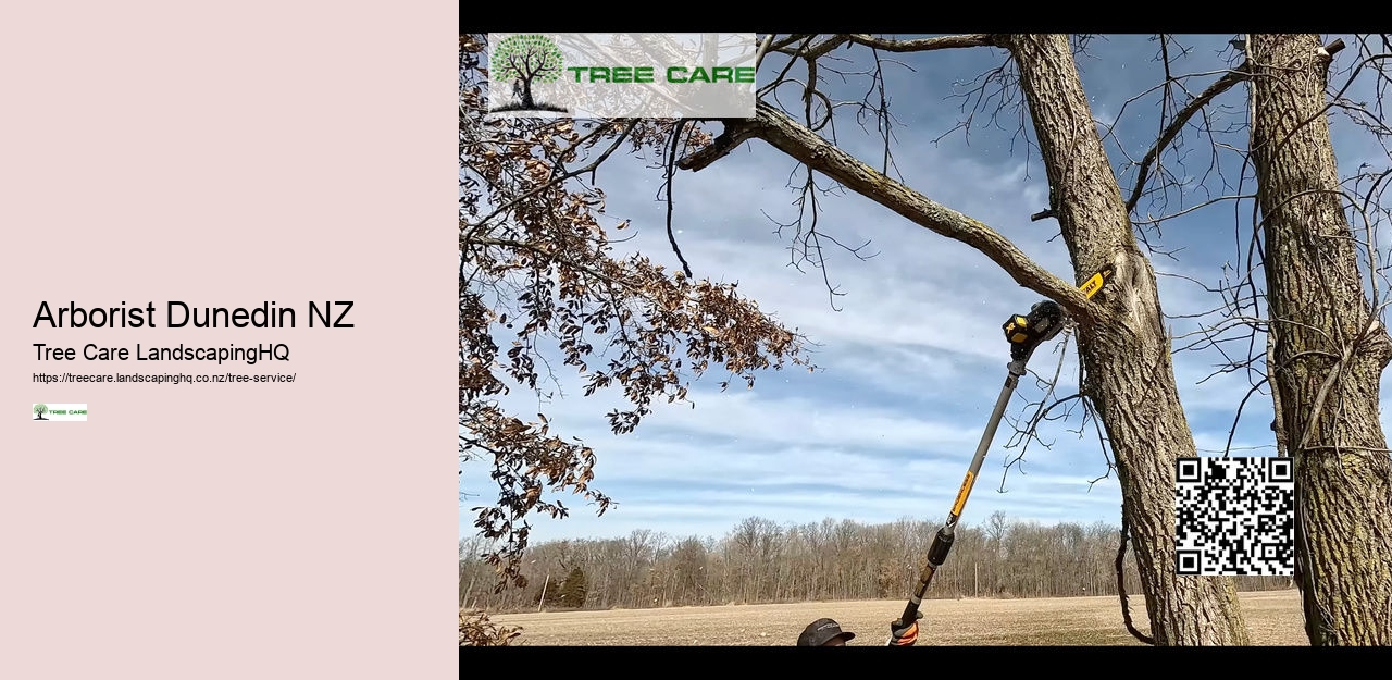 Tree Pruning Christchurch NZ