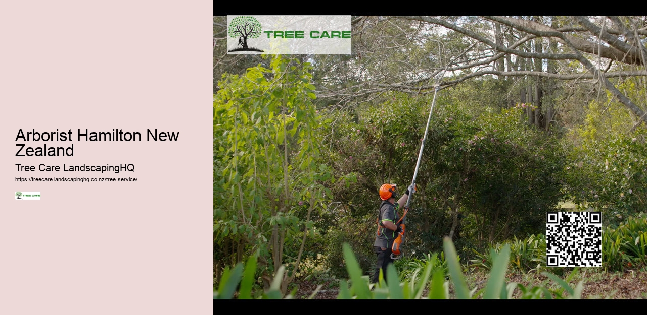 Tree Trimming And Shaping NZ