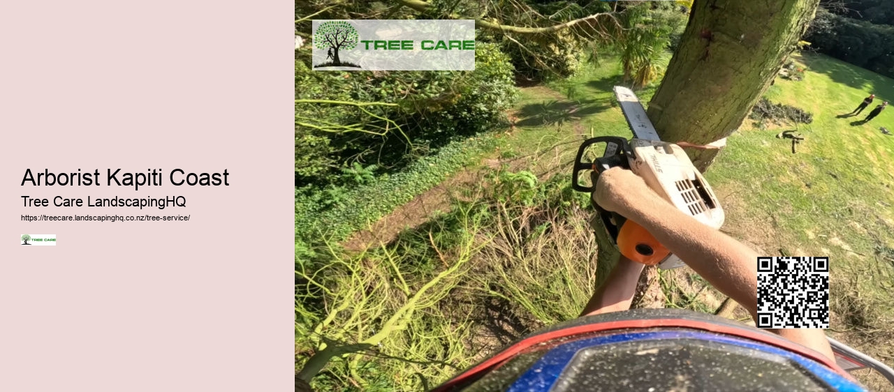 Stump Grinding Pukekohe