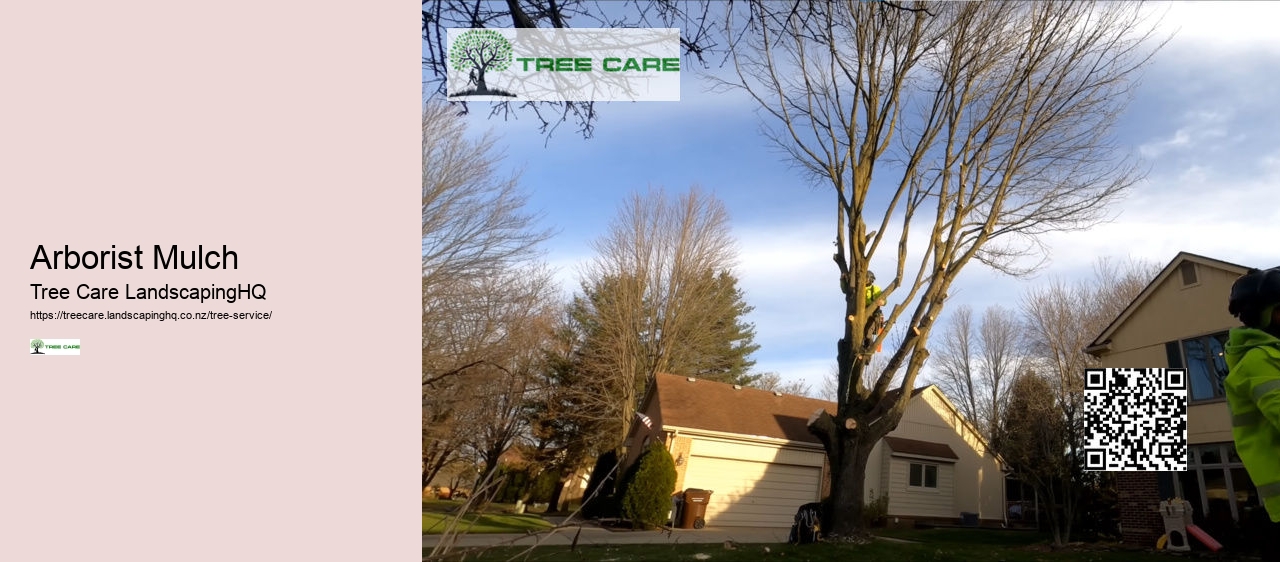 Arborist Cost NZ