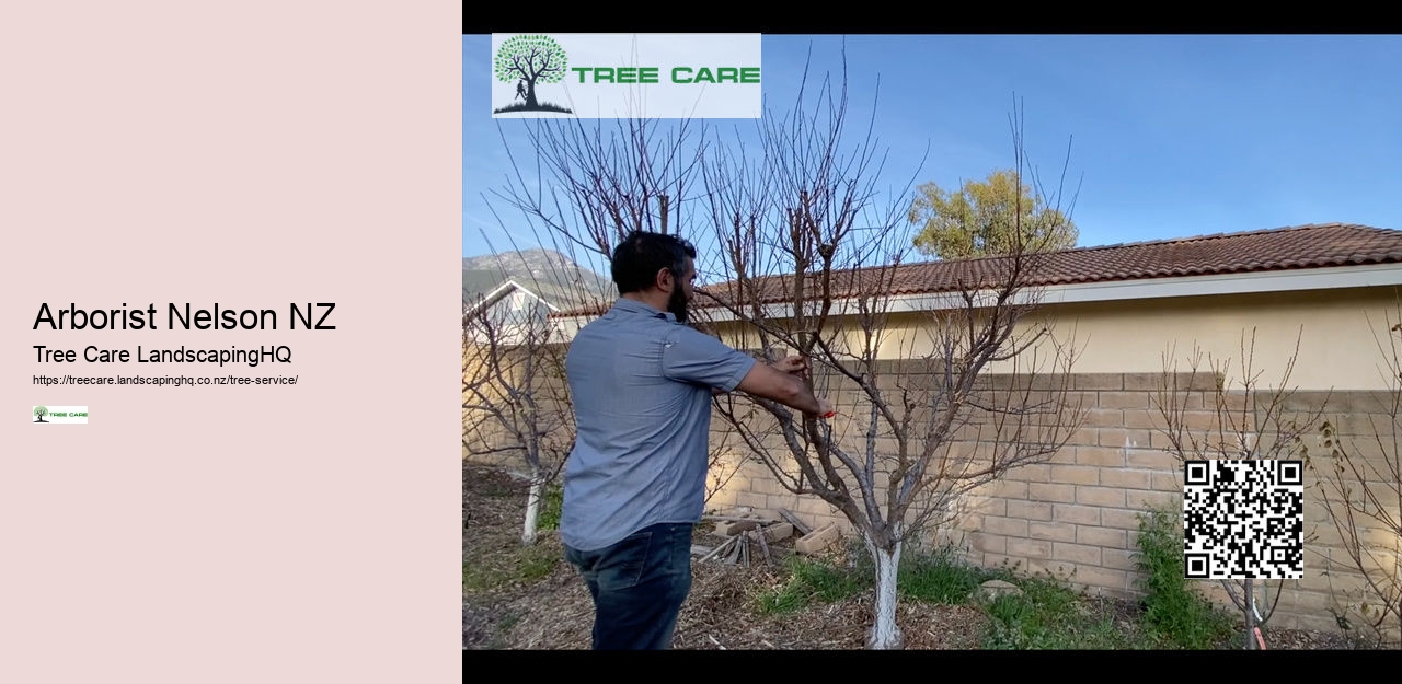 Tree Arborist Near Me