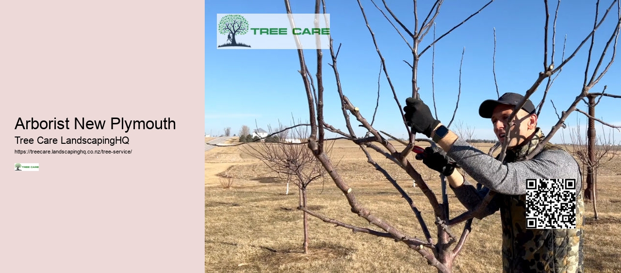 Arborist New Plymouth