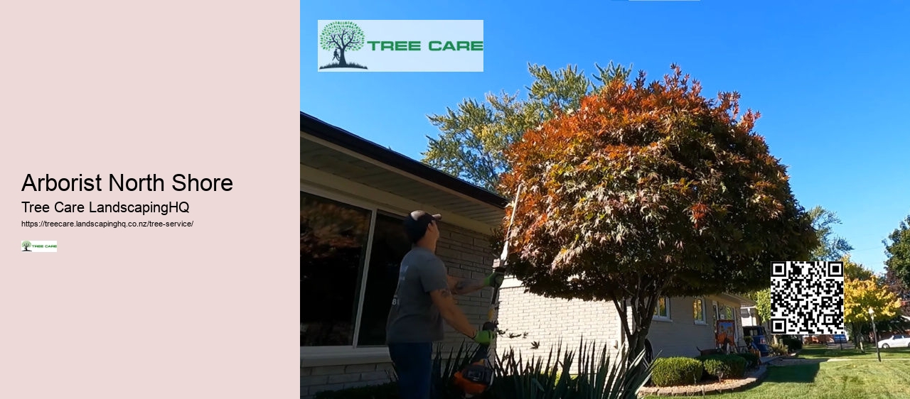 Tree Services Wellington