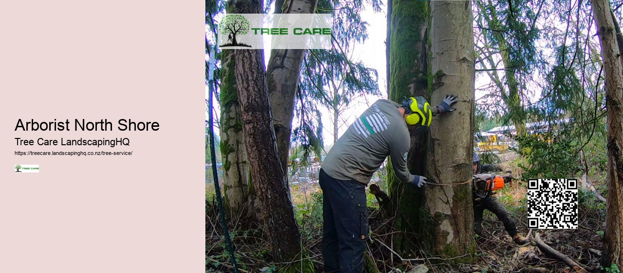 Arborist North Shore