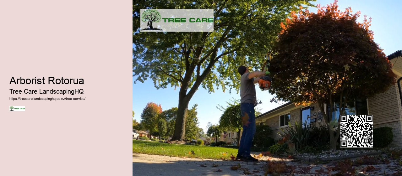 Arborist Kapiti Coast