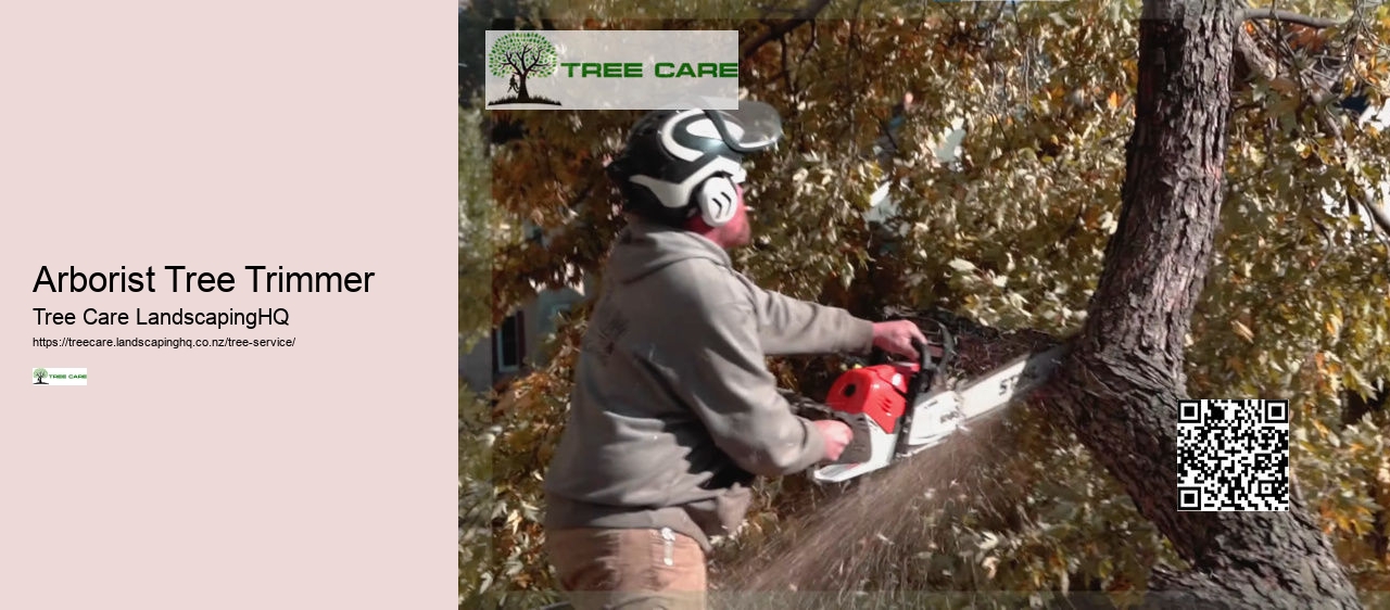 Arborist Auckland North Shore