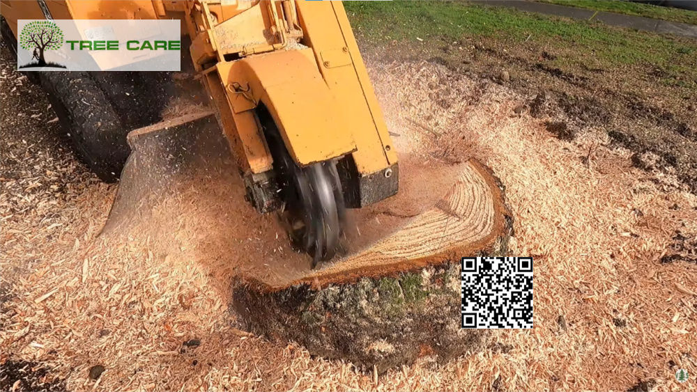 Stump Grinding West Auckland