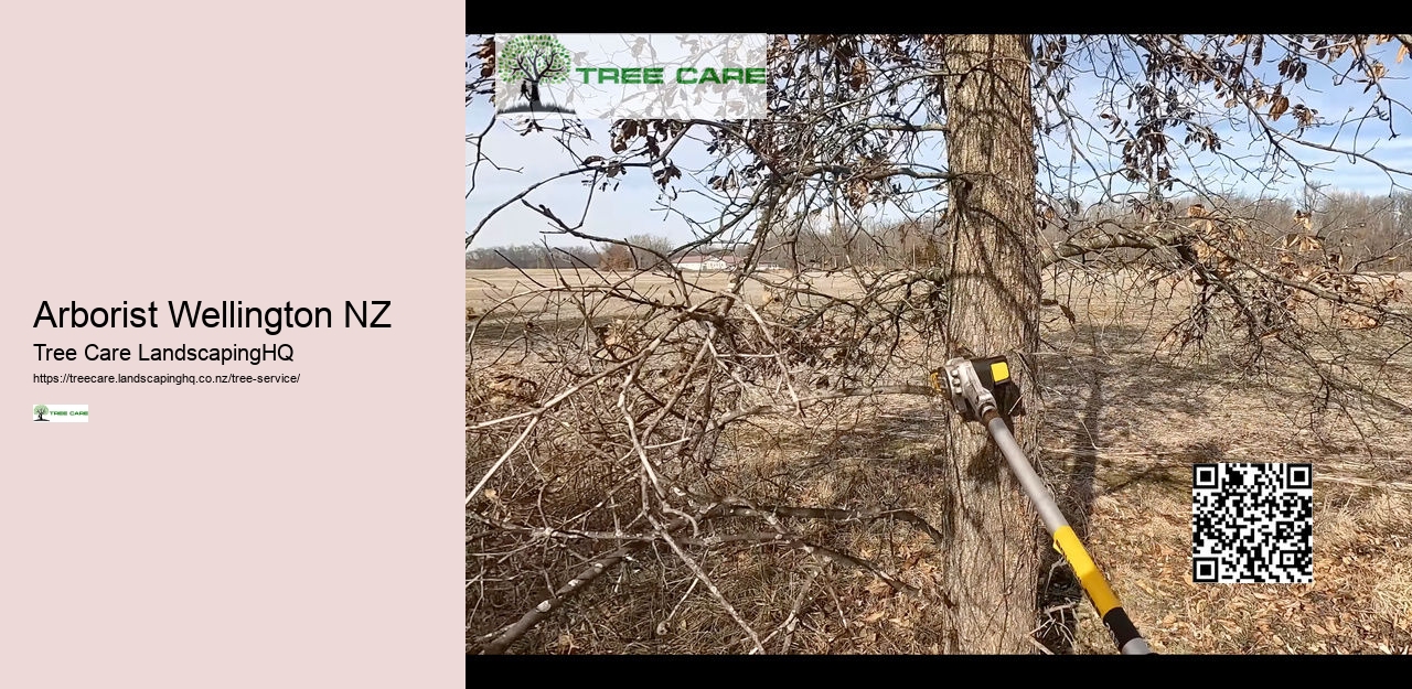 Tree Trimming And Pruning NZ