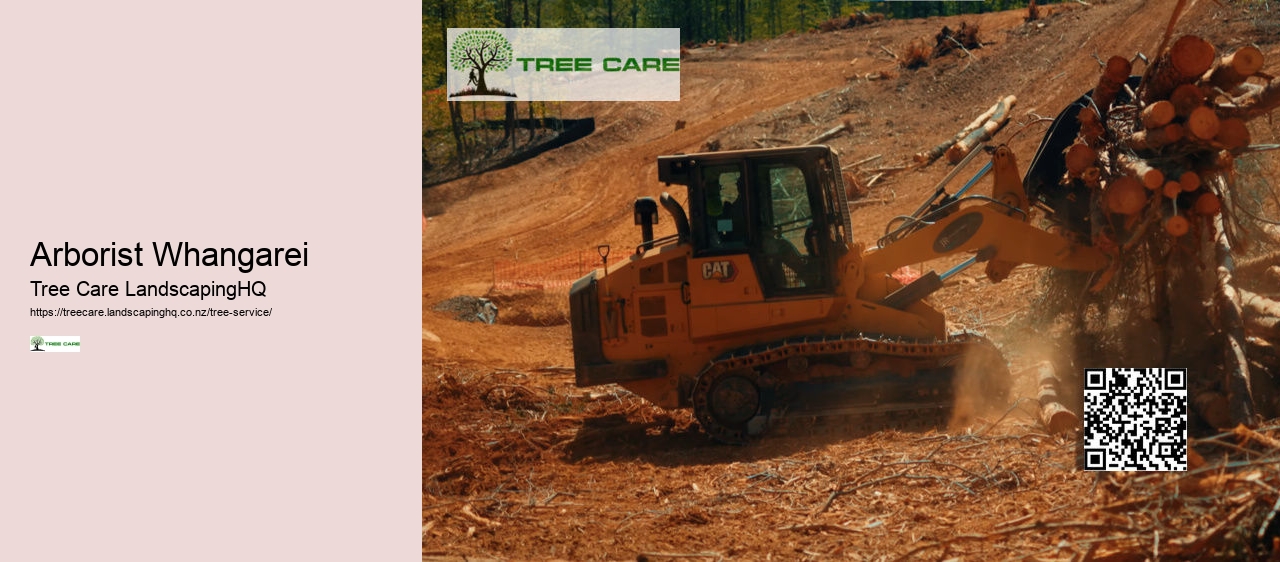 Tree Services Tauranga