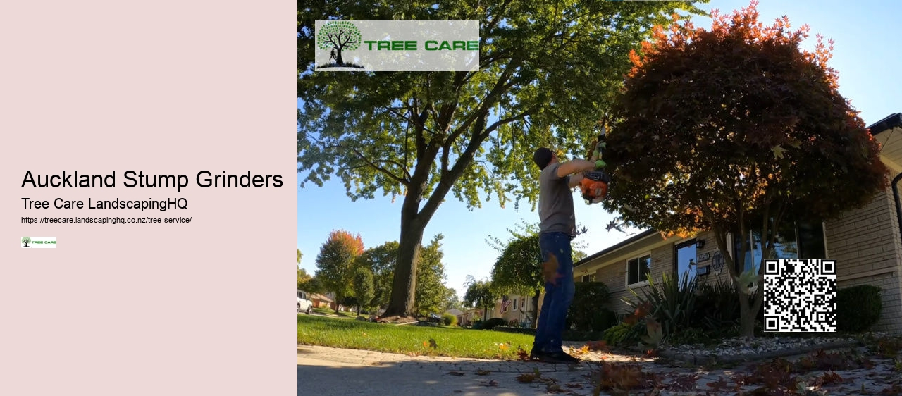 Qualified Arborist Christchurch NZ