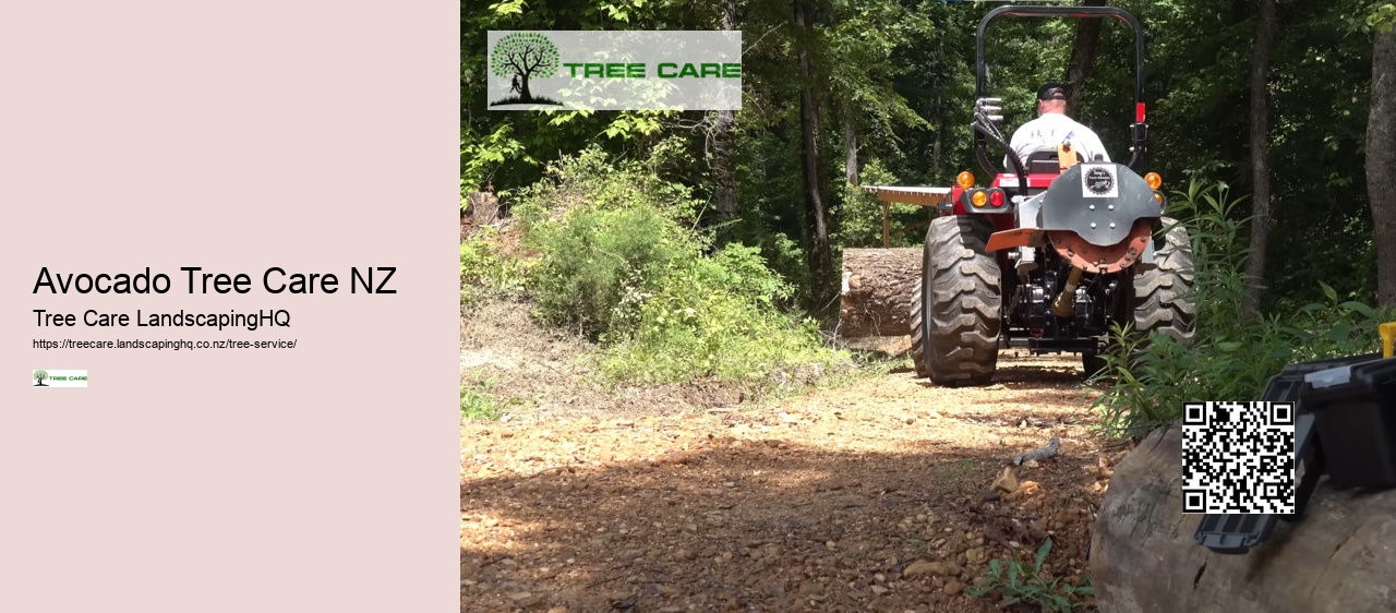 Tree Removal Auckland