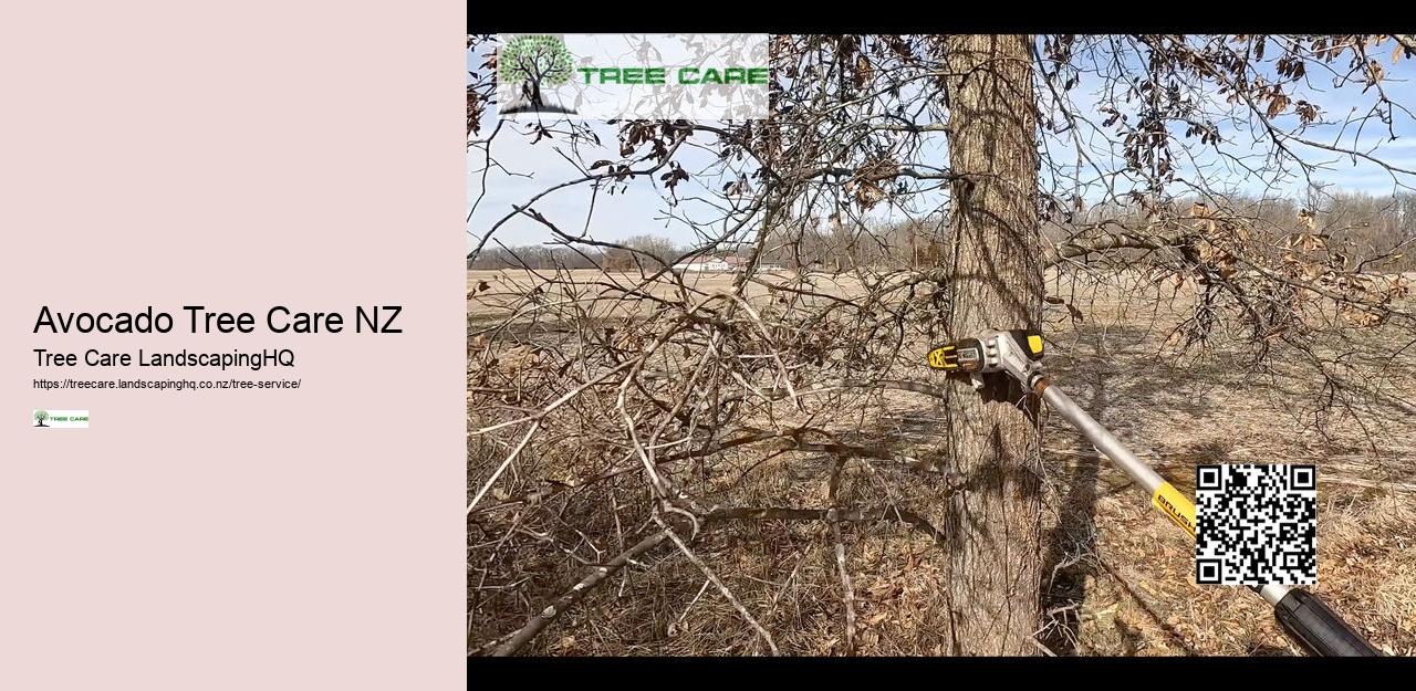 Tree Arborist Tauranga