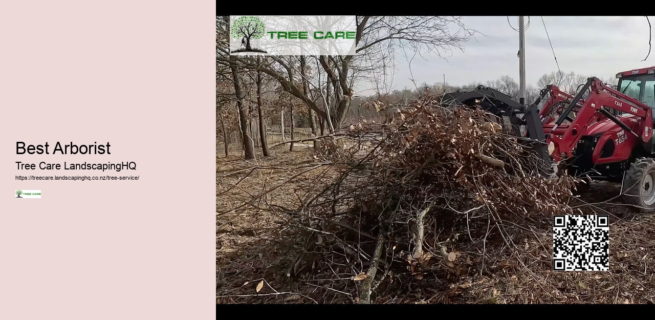 NZ Tree Care