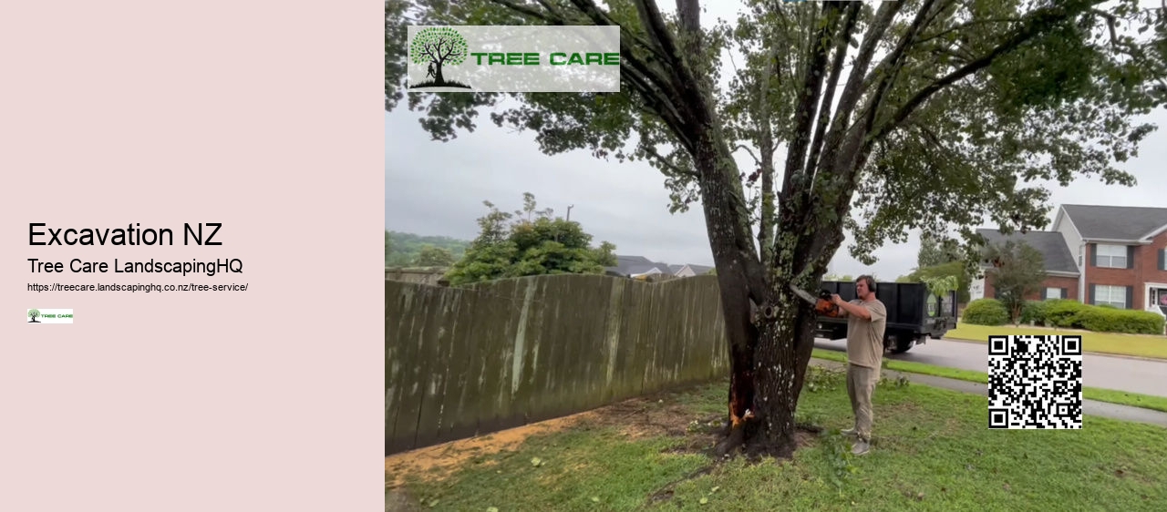 Arborist Wellington NZ