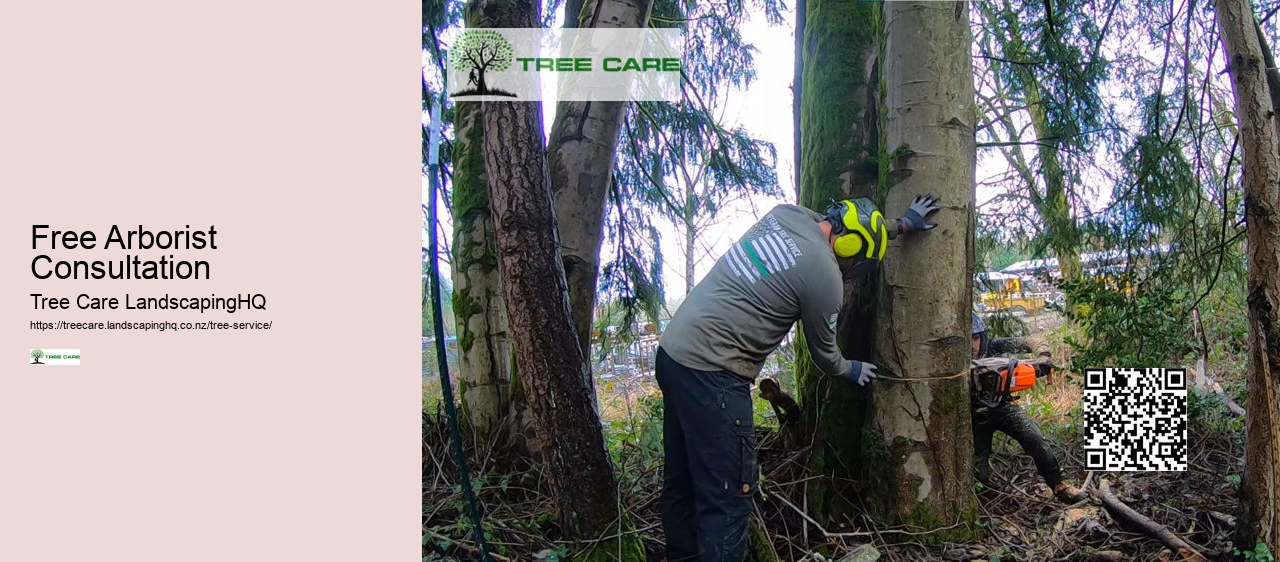 Free Arborist Consultation