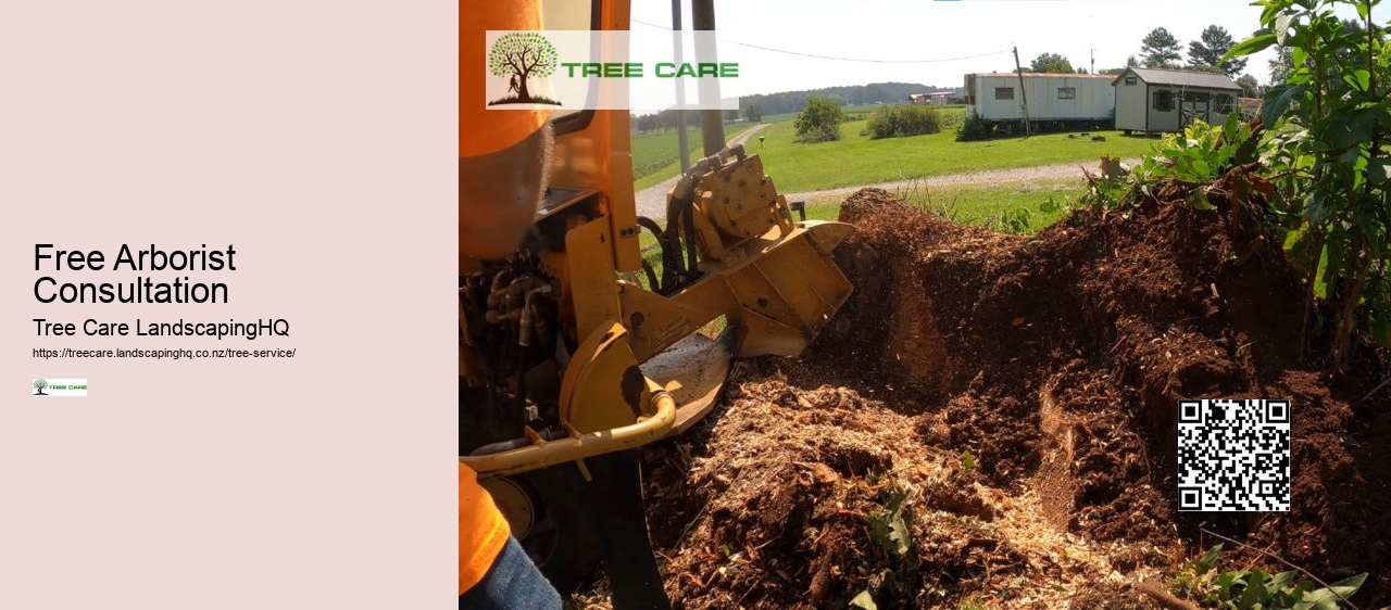 Arborist Cost NZ