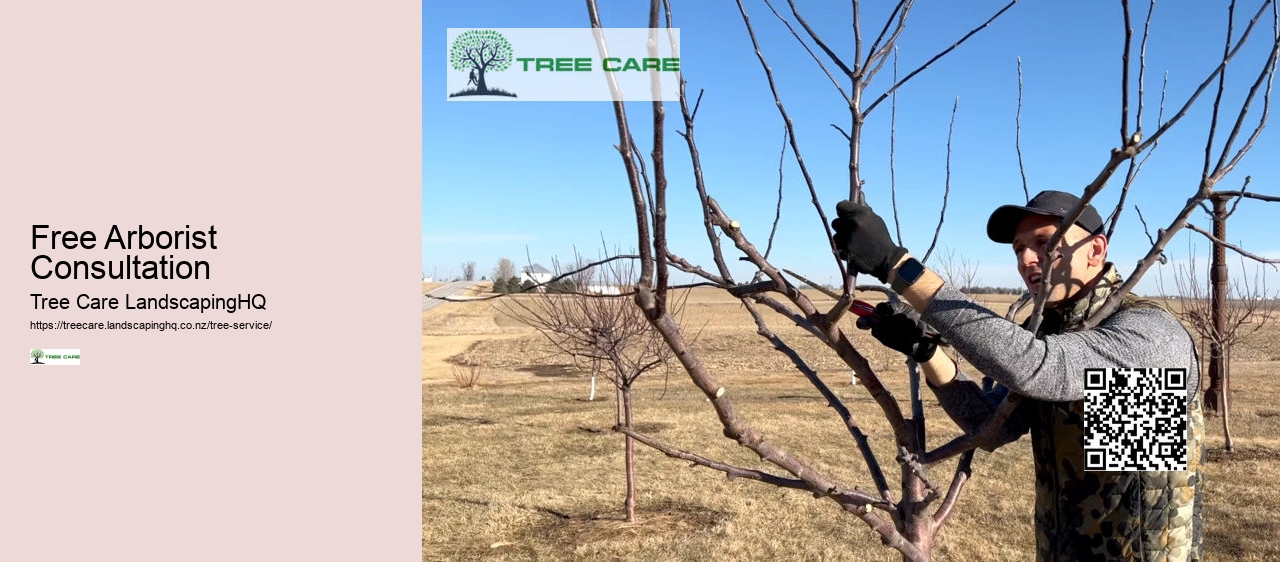 Tree Trimming Chch