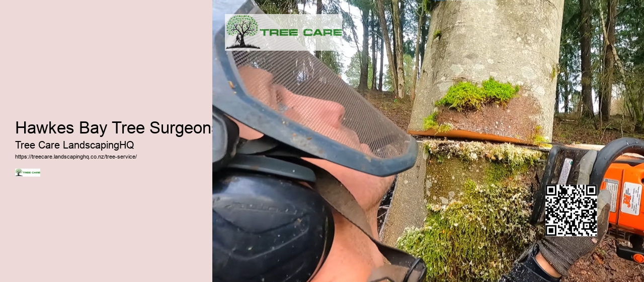 Hawkes Bay Tree Surgeons