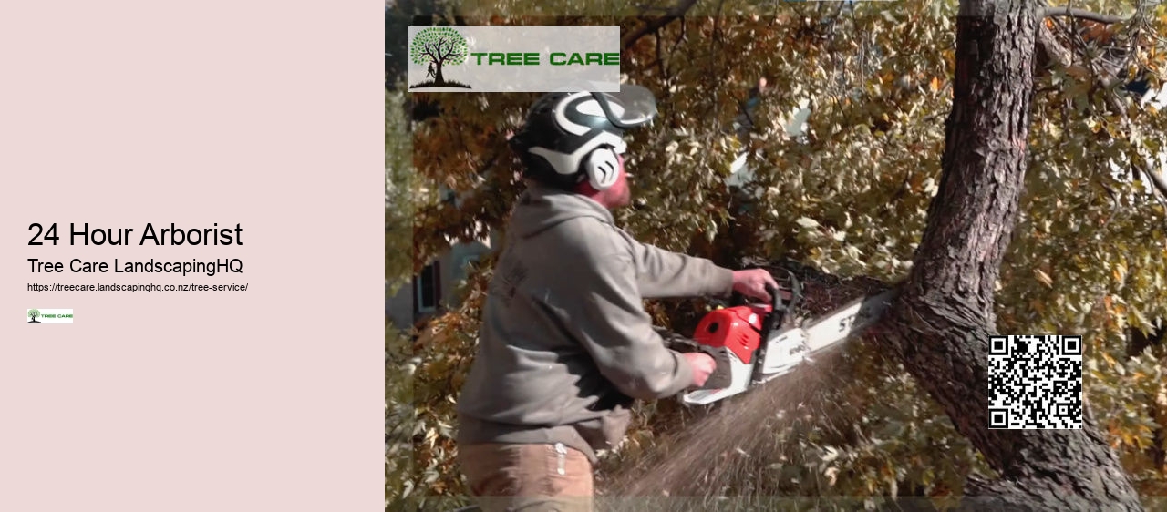 Arborist Lower Hutt