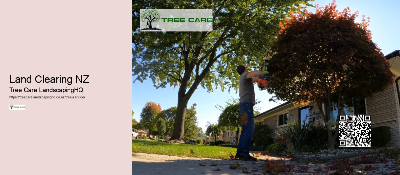 Arborist Hamilton New Zealand