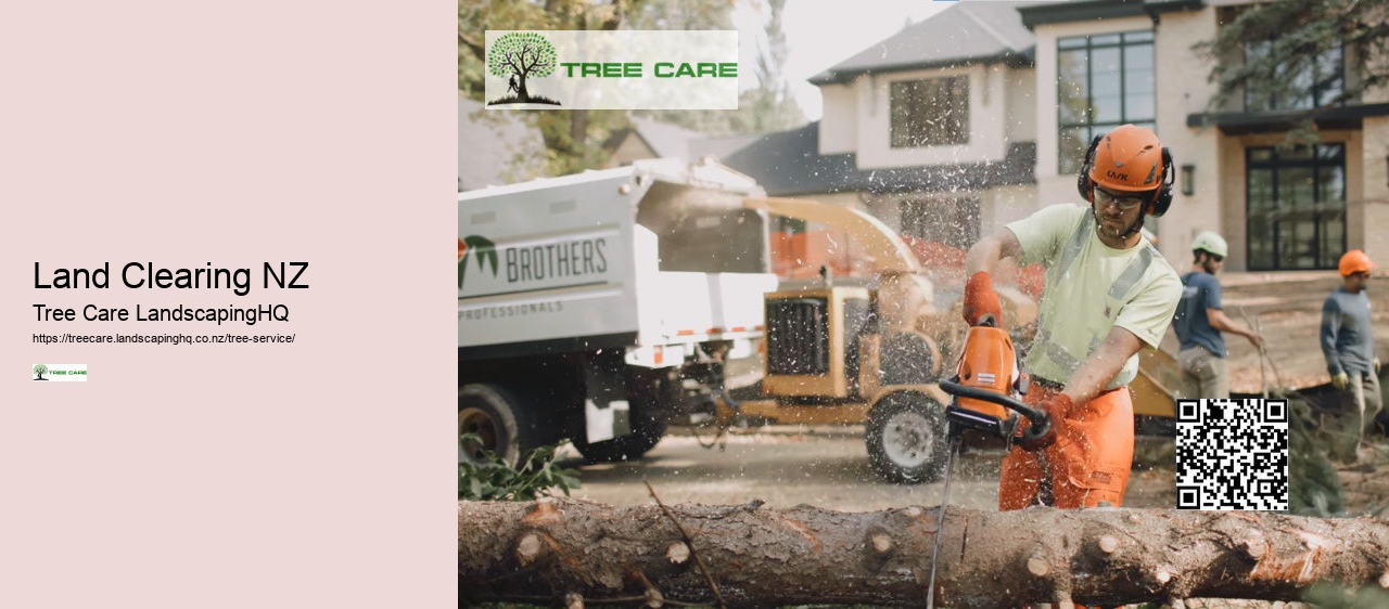 Palm Tree Removal NZ