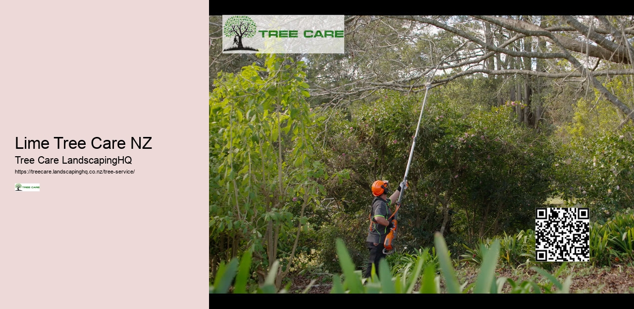 Lime Tree Care NZ