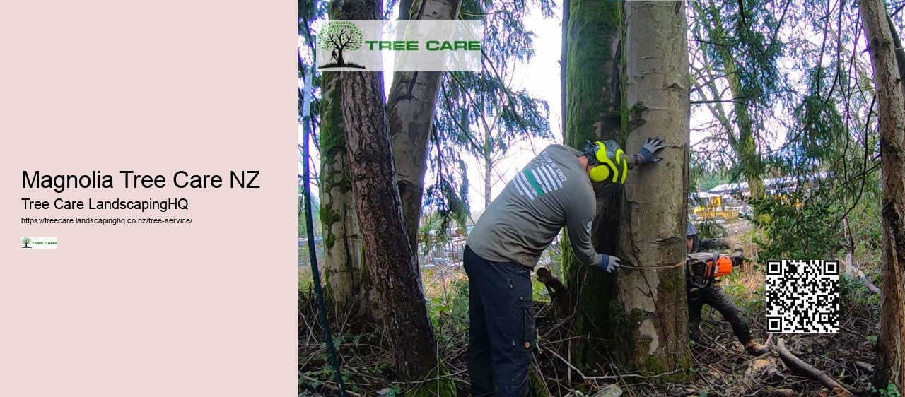 Tree Services Dunedin