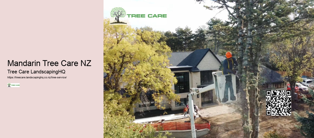 Tree Care Queenstown NZ