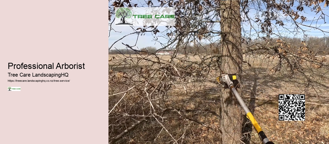 Professional Arborist