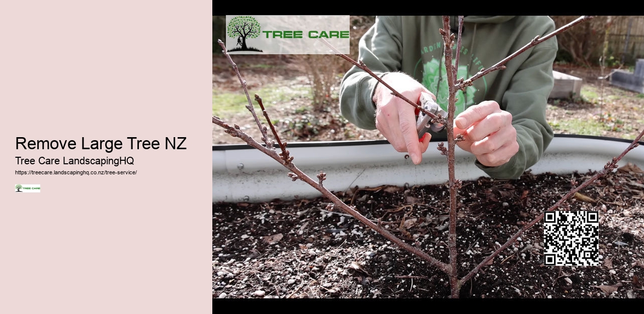 Tree Surgeon Dunedin