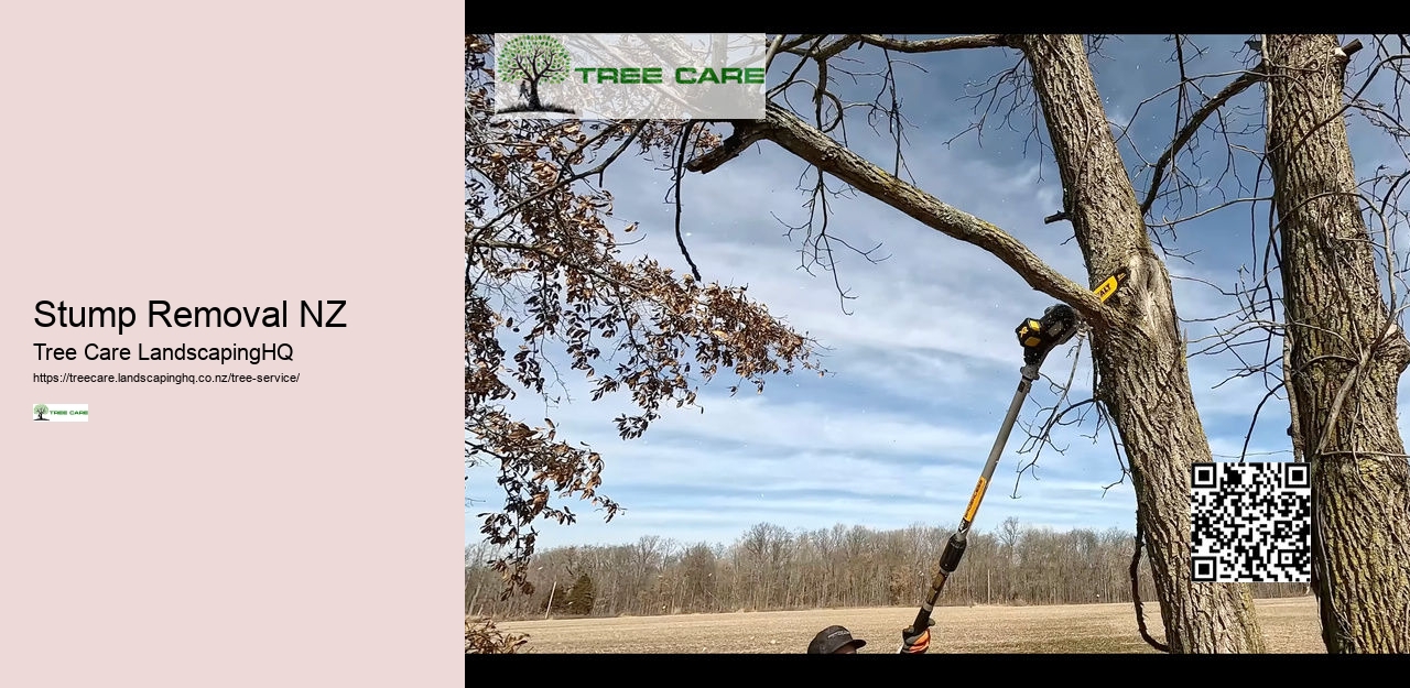 Tree Removal NZ