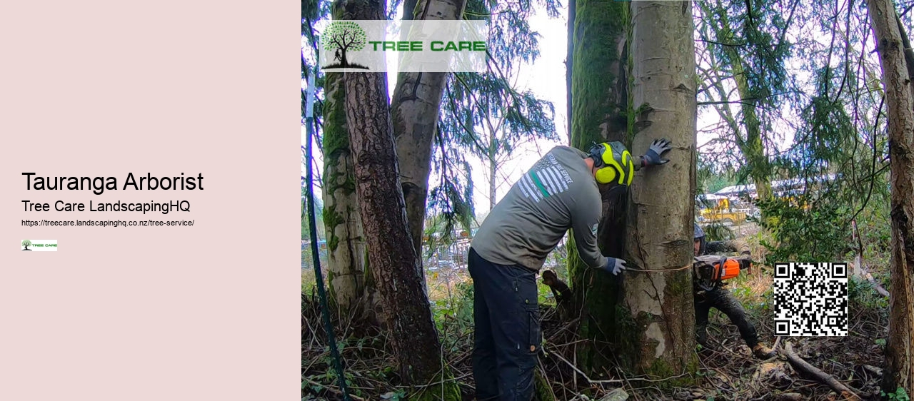 Tree Pruning Hamilton NZ