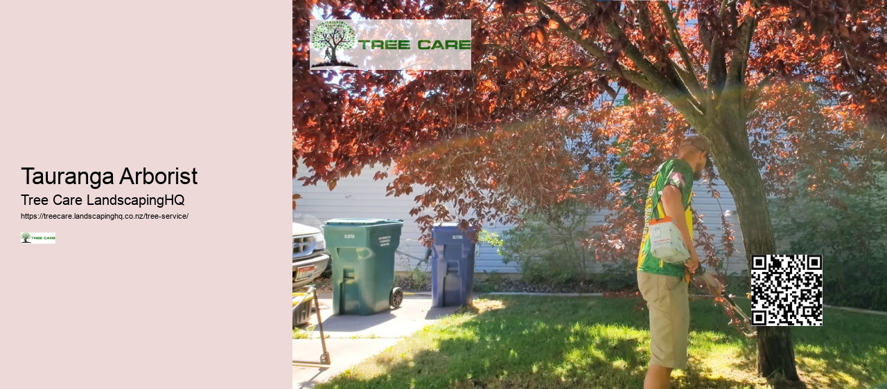 Tauranga Arborist