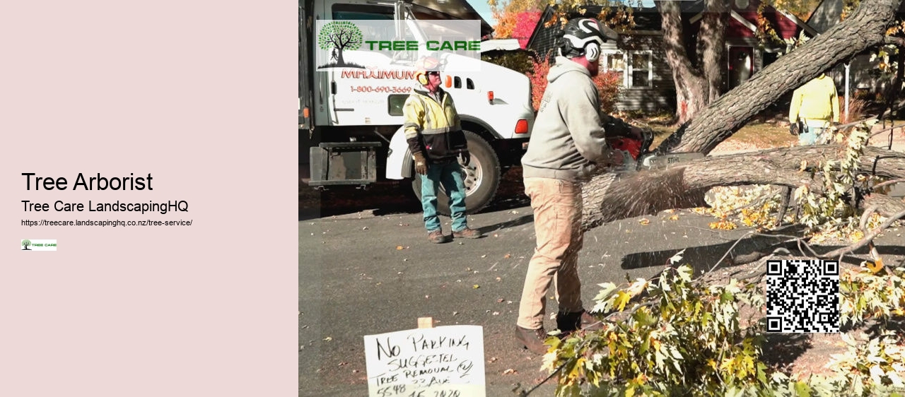 Arborists Nelson NZ