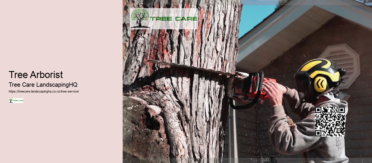 Tree Arborist Rotorua