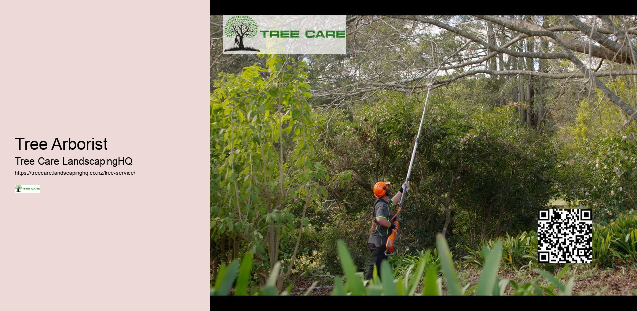 Tree Trimming Whangarei