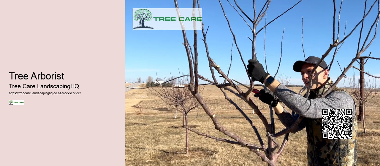 Tree Arborist