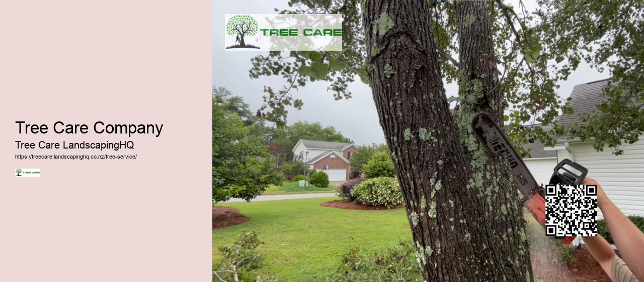 Tree Removal Napier