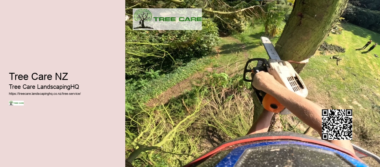 Dunedin Tree Care