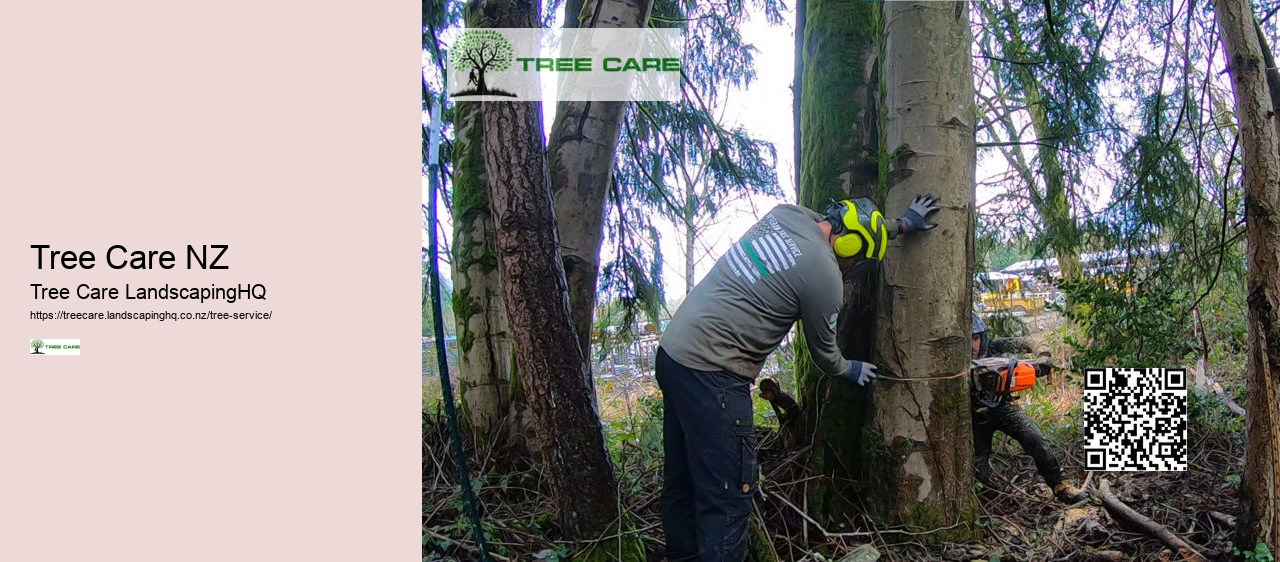 Tree Care NZ