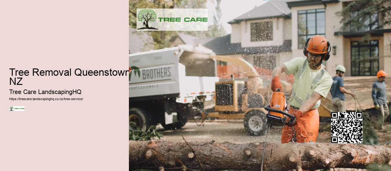 Arborist Company New Zealand