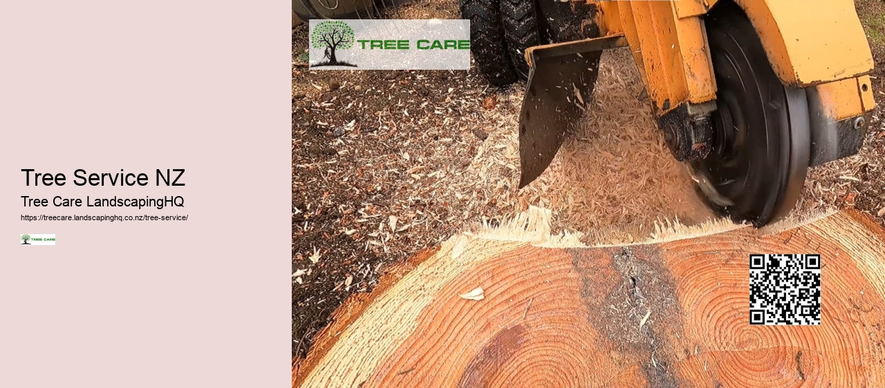 Tree Removal Tauranga