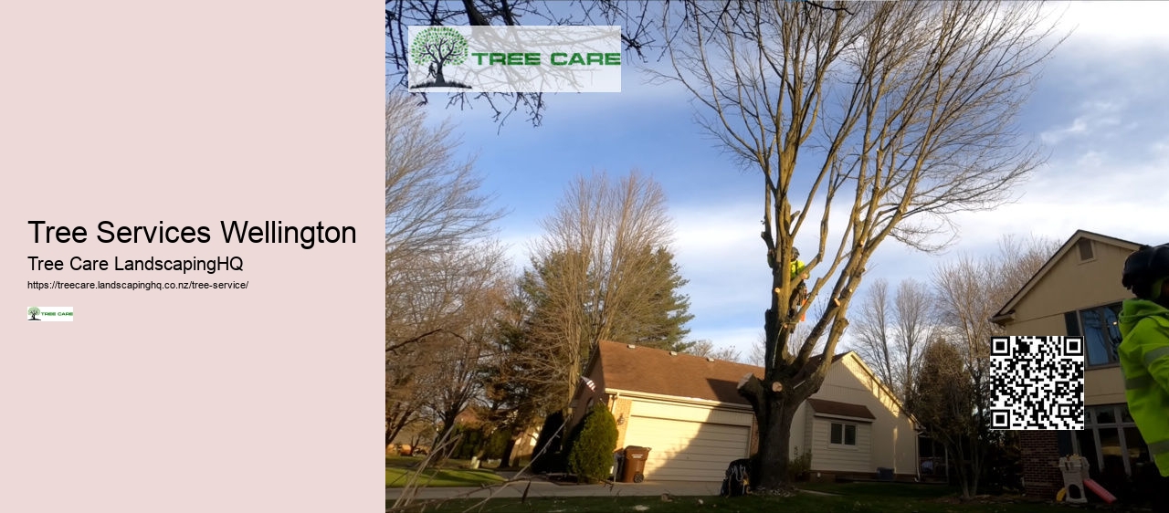 Arborist Hamilton New Zealand